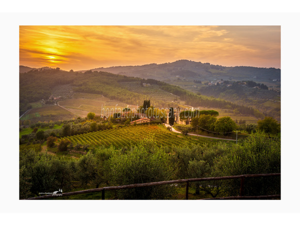 terre di melazzano a greve in chianti.jpg