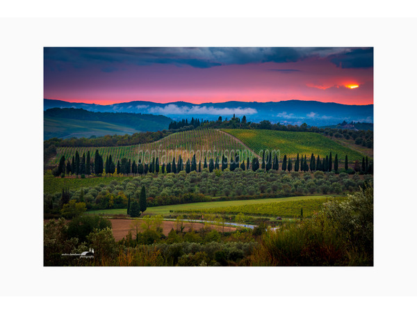 Chianti Vineyards and Villages Photo Tour with A. Bonfanti ph.