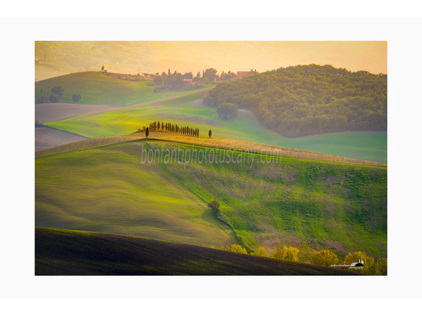 casolare con cipressi in val d'orcia.jpg