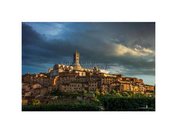 siena walking tour with andrea bonfanti