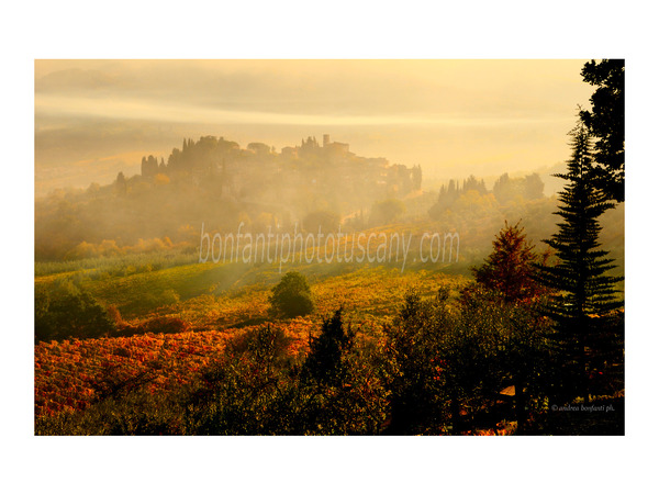 borgo di montefioralle nella foschia dell'alba.jpg