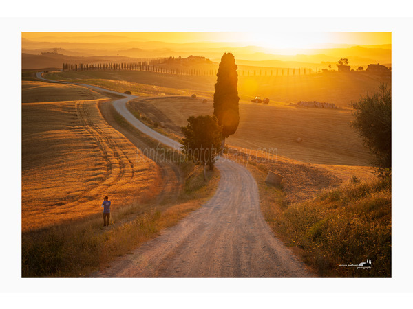 crete senesi alternate take in june.jpg