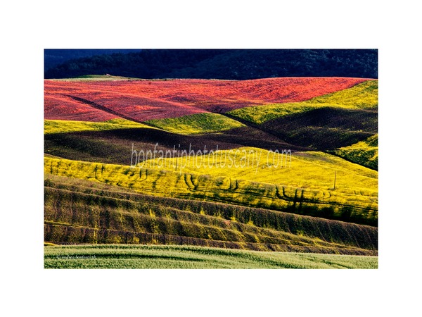 Tuscany Photo Tour Val d'Orcia landscapes