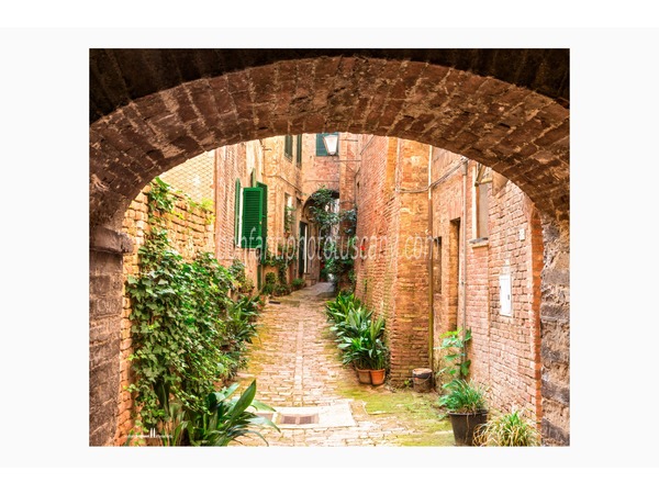 siena walking tour with andrea bonfanti