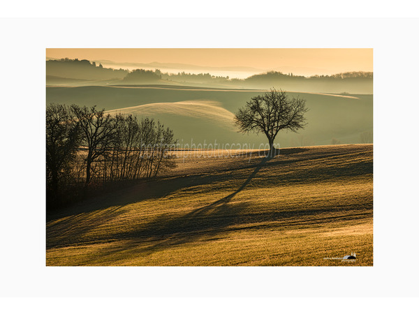 controluce di marzo a ville di corsano.jpg