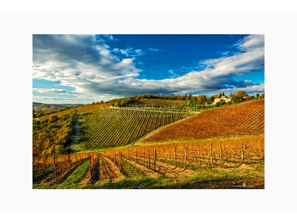 Chianti Vineyards and Villages Photo Tour with A. Bonfanti ph