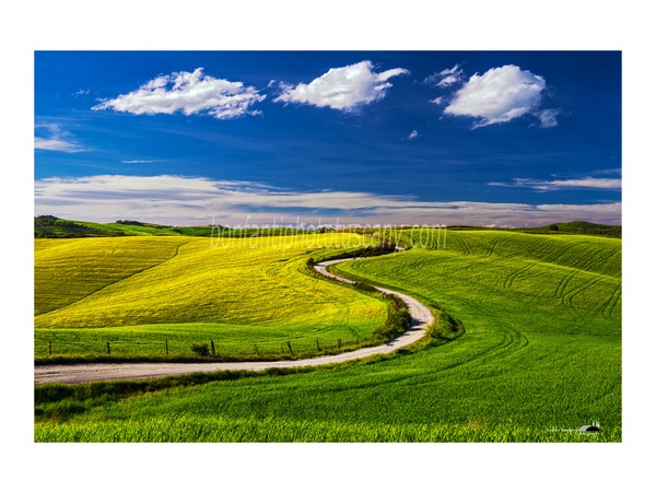 andrea bonfanti ph © winding road in val d'orcia.jpg