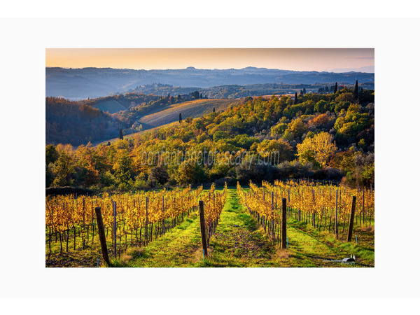 colline sinuose di san casciano.jpg