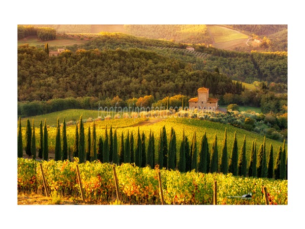 Chianti Vineyards and Villages Photo Tour with A. Bonfanti ph.s