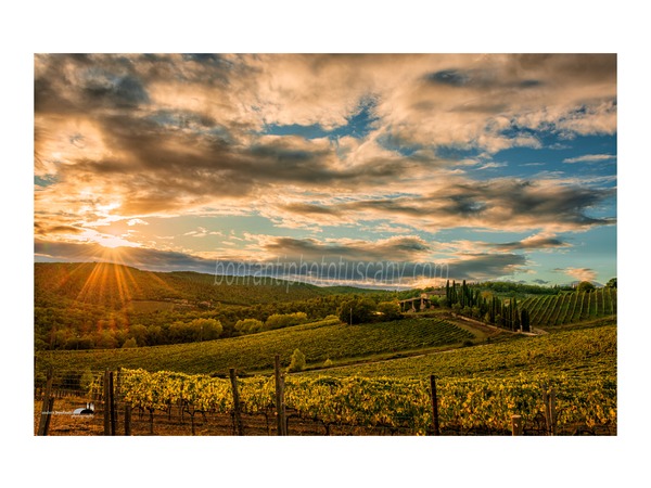 Chianti Vineyards and Villages Photo Tour with A. Bonfanti ph.s