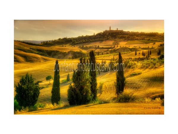 Tuscany Photo Tour Val d'Orcia landscapes