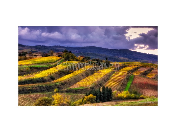 Tuscany Photo Tour Chianti vineyards and villages