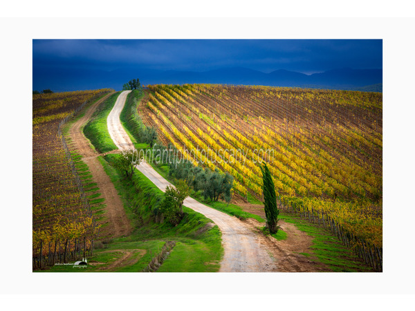 Tuscany Photo Tour Chianti vineyards and villages