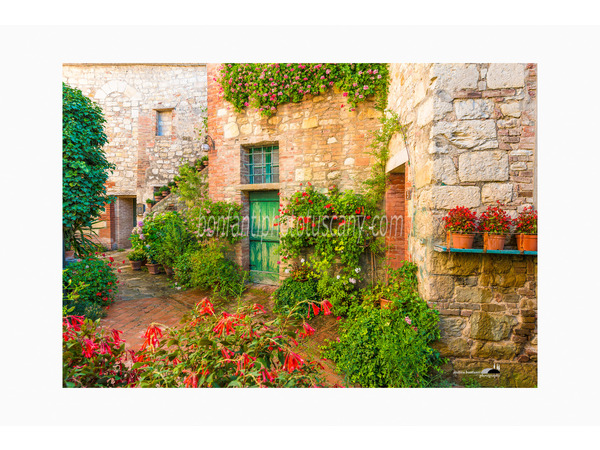 Chianti Vineyards and Villages Photo Tour with A. Bonfanti ph